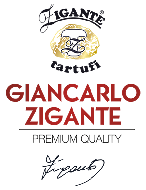 Logo ZT Giancarlo Zigante